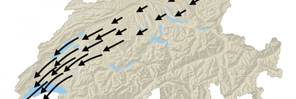 1 Lufthansa.max 1000x1000 1