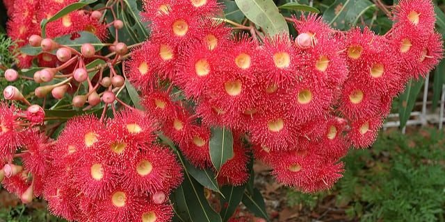 How to Calculate Precision Recall F1 and More for Deep Learning Models