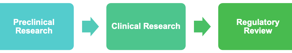 ML 6537 Drug Development Process