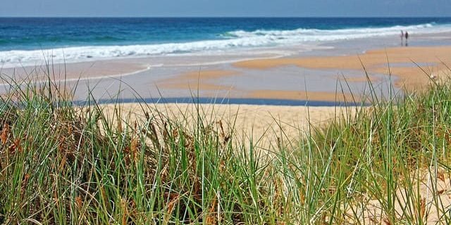 What is the Difference Between a Batch and an Epoch in a Neural Network