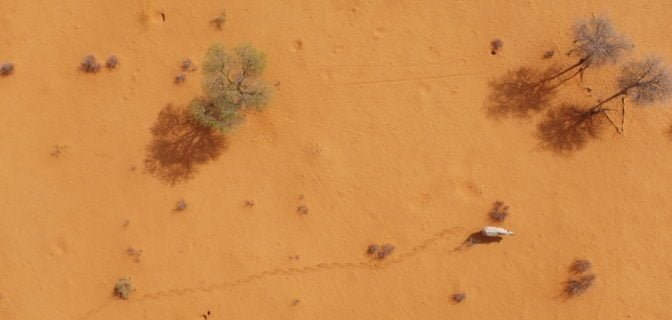 aerial view of rhino with trail of prints 2 672x448 1