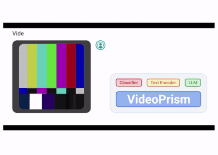 VideoPrismSample 1