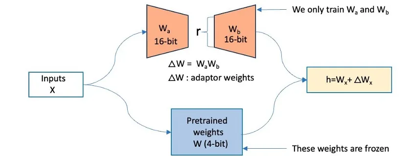 ML 17032 qlora definition