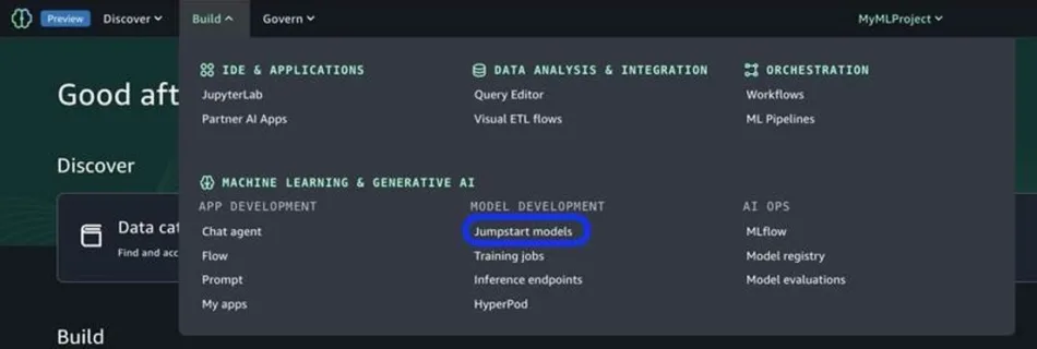 ml 17926 meta sam 1 2