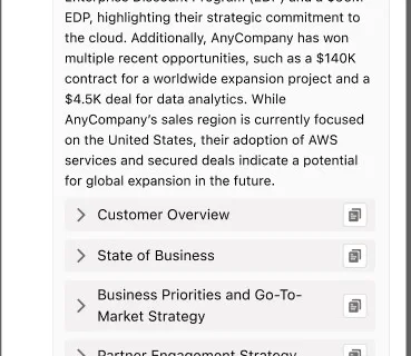 Account plans draft assistant UX