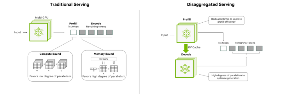 1 lTFF8Zumax 1000x1000 1